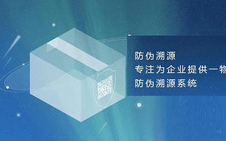 双层二维码标记芯片防伪